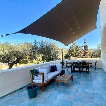 Villa Boeddu, Relax Tra Mare E Campagna 阿尔盖罗 外观 照片