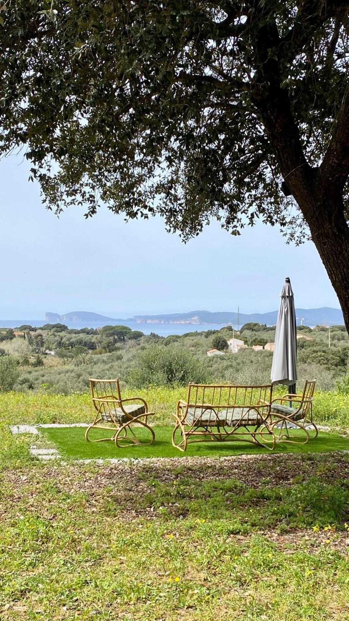 Villa Boeddu, Relax Tra Mare E Campagna 阿尔盖罗 外观 照片