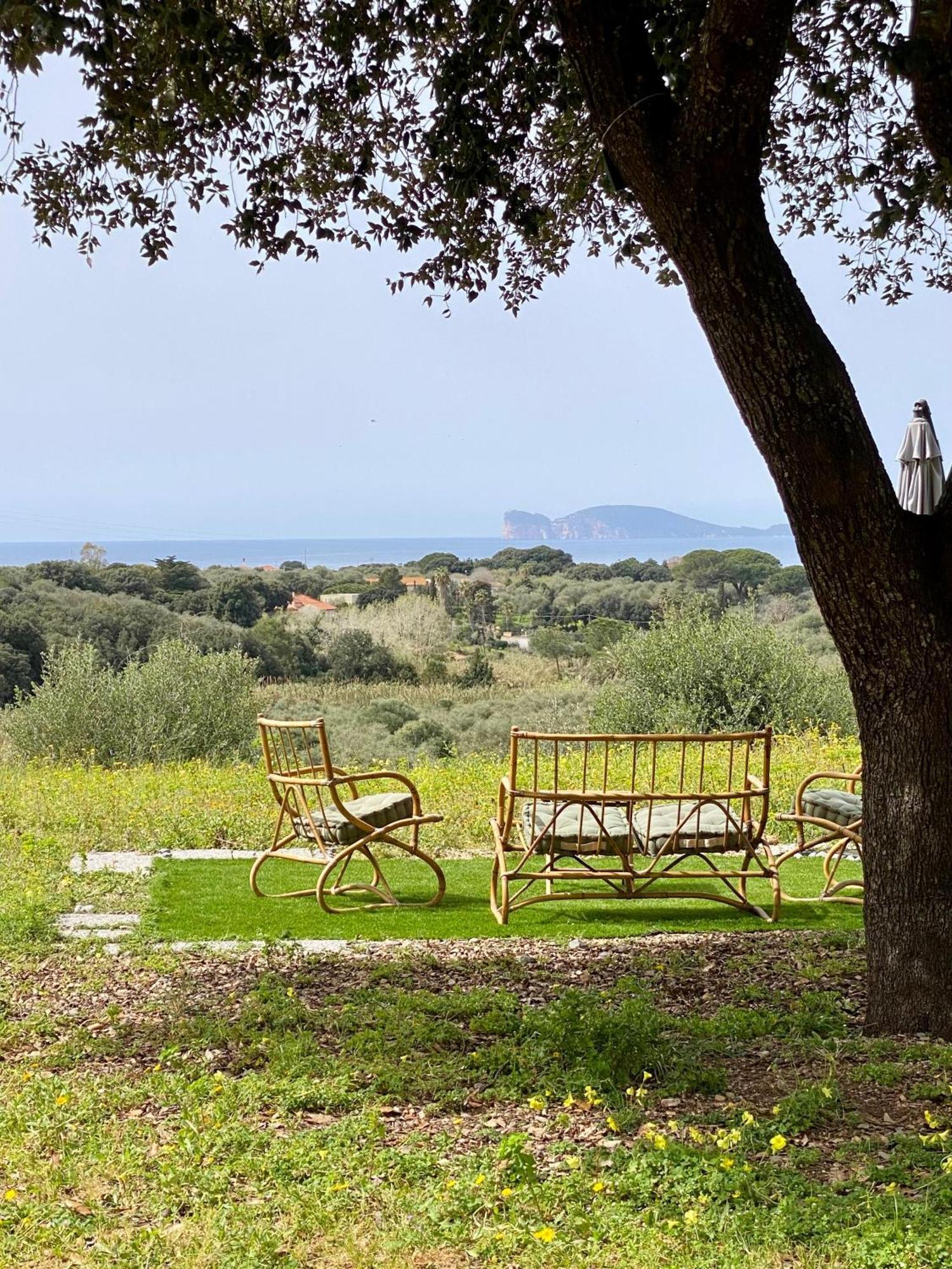 Villa Boeddu, Relax Tra Mare E Campagna 阿尔盖罗 外观 照片